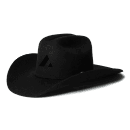 Acme Cowboy Hat in Black, side view