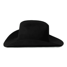 Acme Cowboy Hat in Black, back view