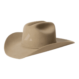 Acme Cowboy Hat in Tan, side view
