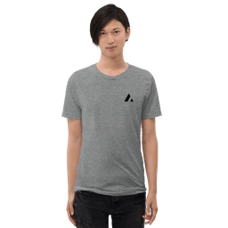 Acme Color T-Shirt in Gray